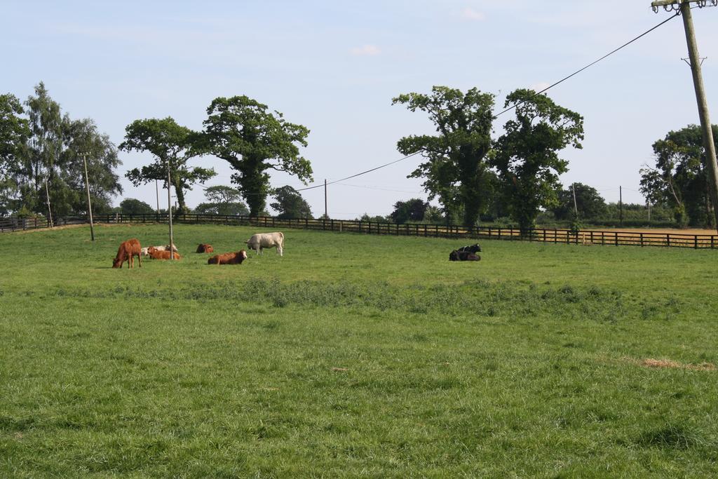 Moate Lodge Athy Eksteriør bilde
