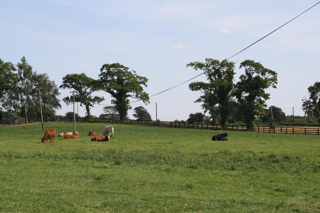 Moate Lodge Athy Eksteriør bilde